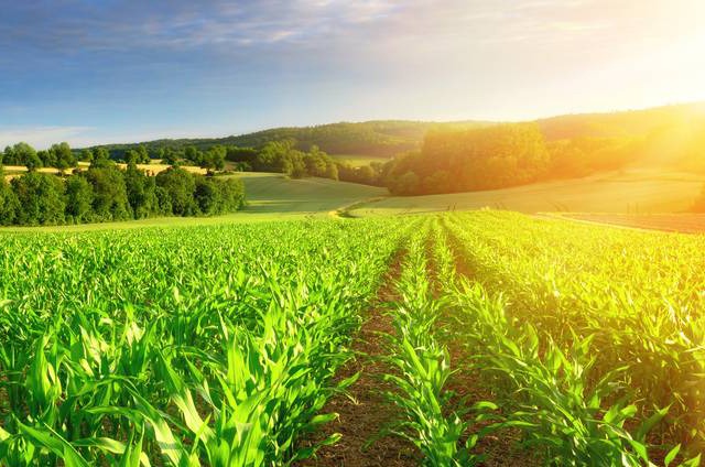 WhatsApp Image 2025-12-29 at 2.16.35 PM